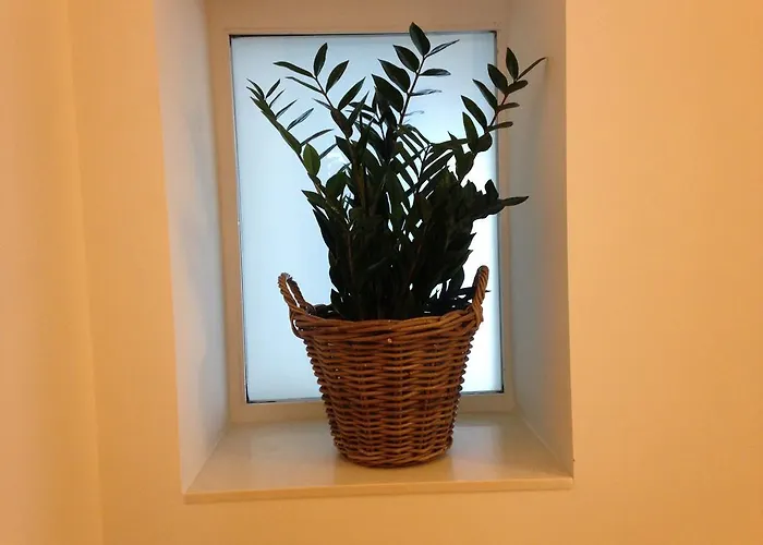 Belle Arti