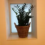 Belle Arti