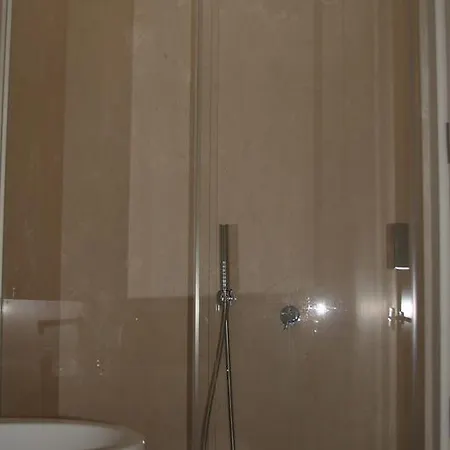 Belle Arti ברגמו