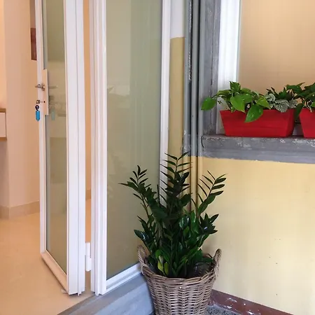 בית הארחה Belle Arti